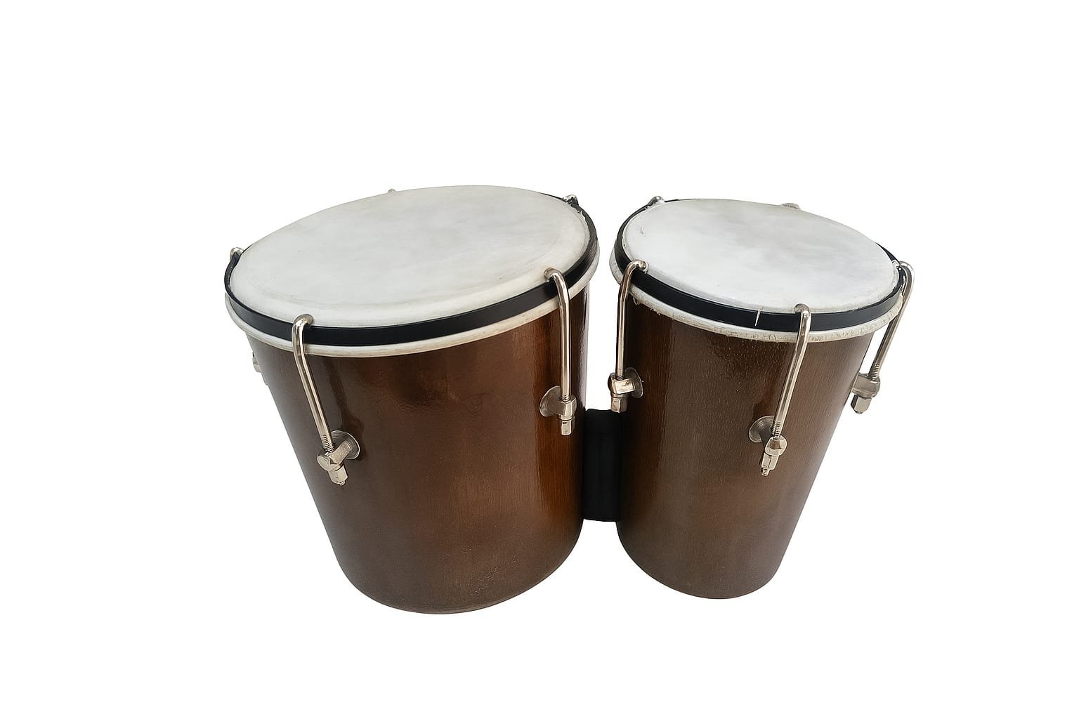 Bongo