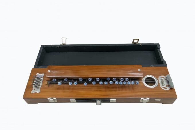 Bulbul Banjo
