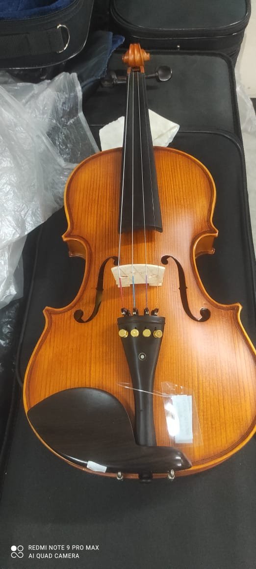Violin