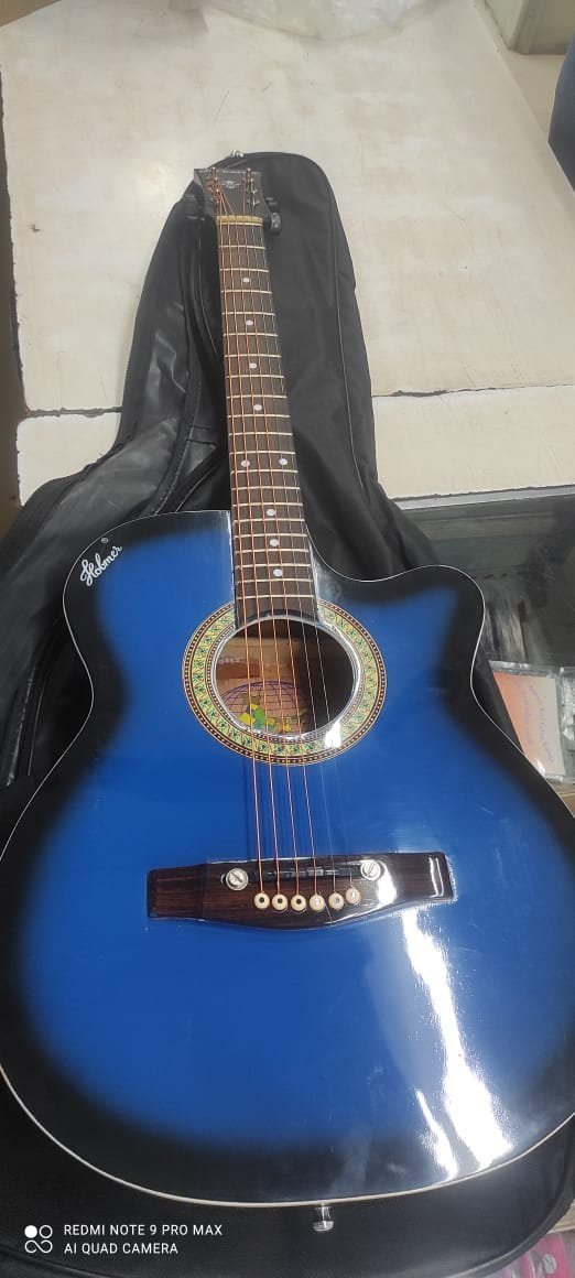 Guitar HobMer 145
